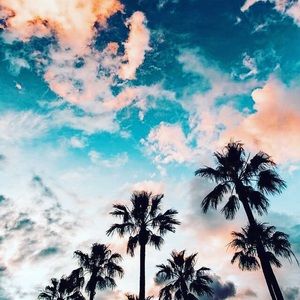 Meet your Posher, Deena